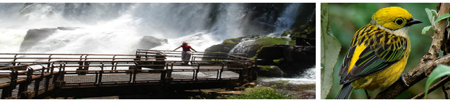 Iguazu falls