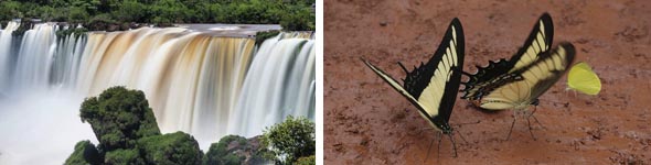 Iguazu falls