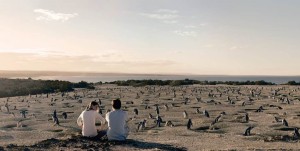 Punta Tombo Patagonia