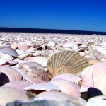 Las Grutas, Beaches of Patagonia