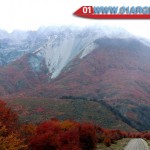 Bariloche autumn