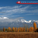 Mendoza autumn