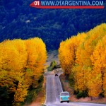 Patagonia autumn