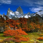 Patagonia autumn