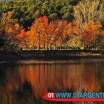 Patagonia autumn