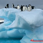 Antartica