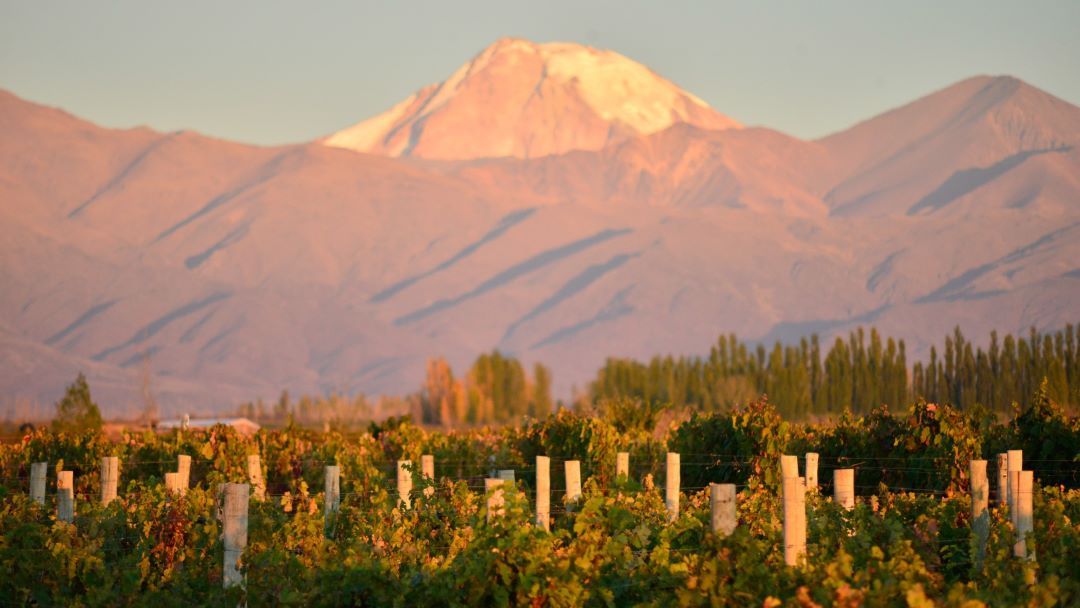 the Uco Valley
