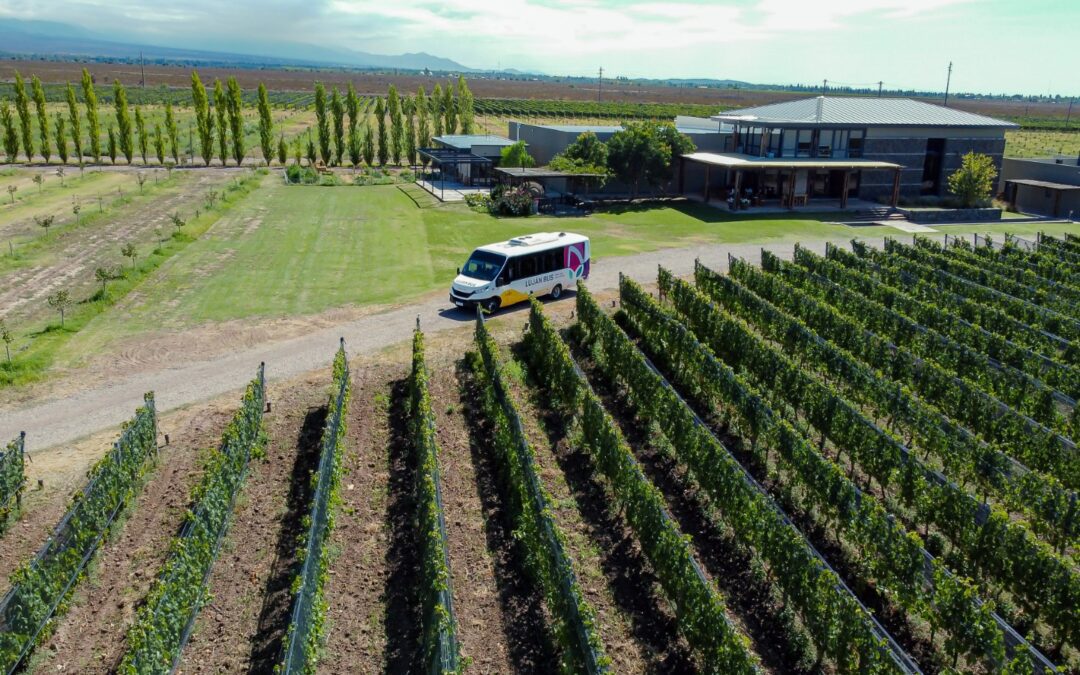 Lujan de Cuyo bodega