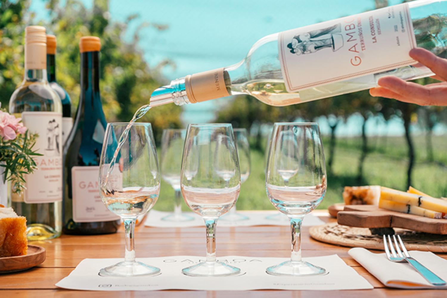 Boutique winery day trip from Buenos Aires with tasting and gourmet lunch
