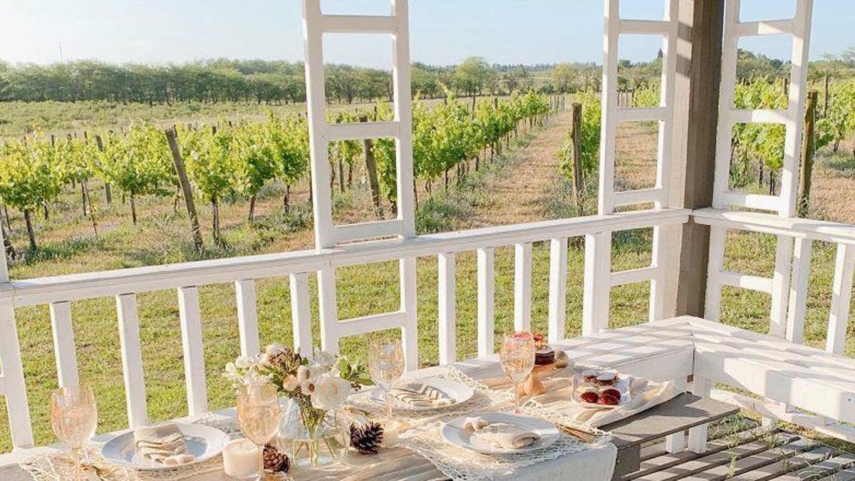 Wine tasting at a boutique winery near Buenos Aires