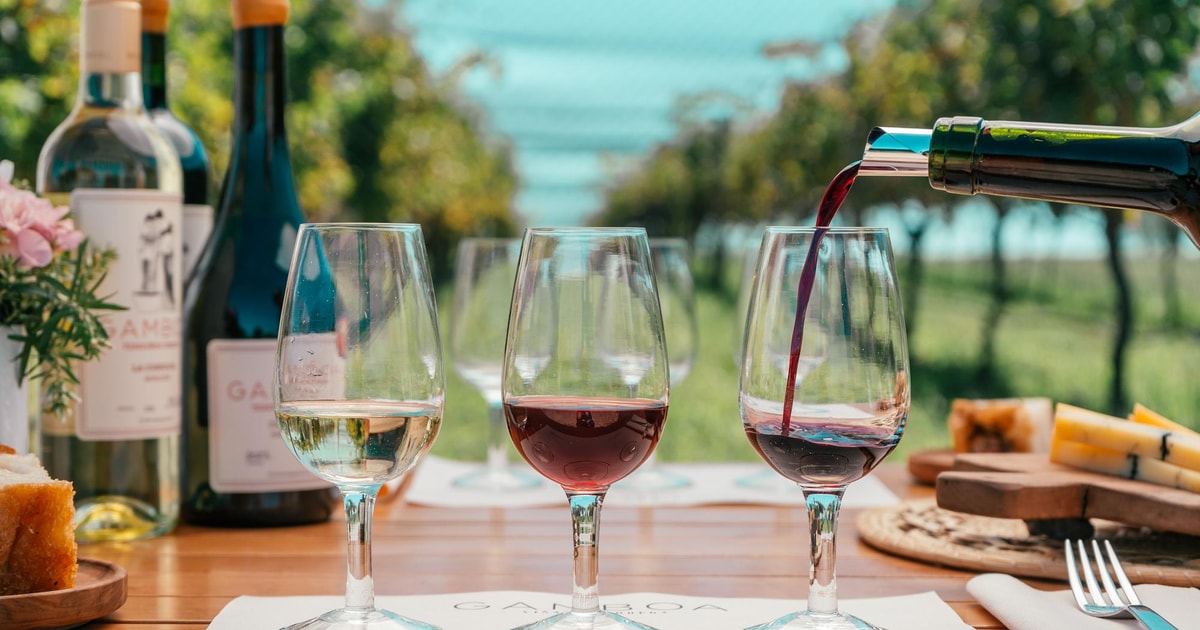 Vineyards and grounds of the boutique winery near Buenos Aires