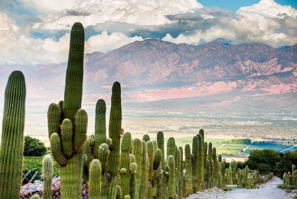 Salta and Cafayate