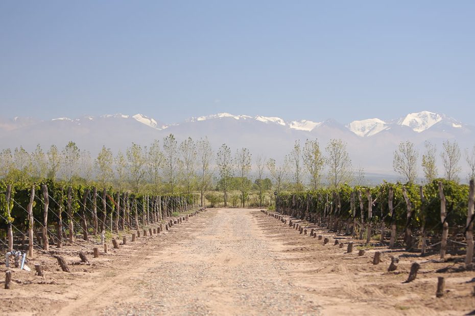 Mendoza wine tours