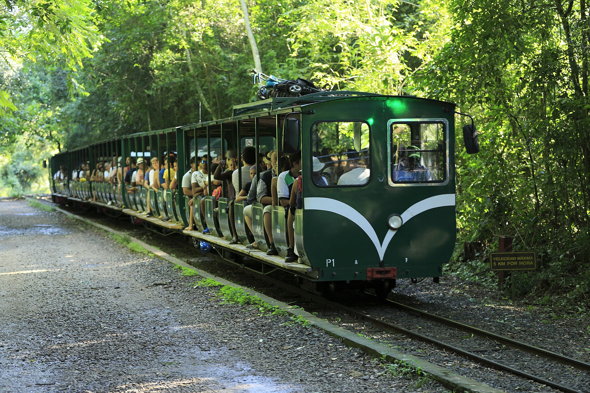 The green ecological Jungle Train carrying visitors through the rainforest at Iguazu