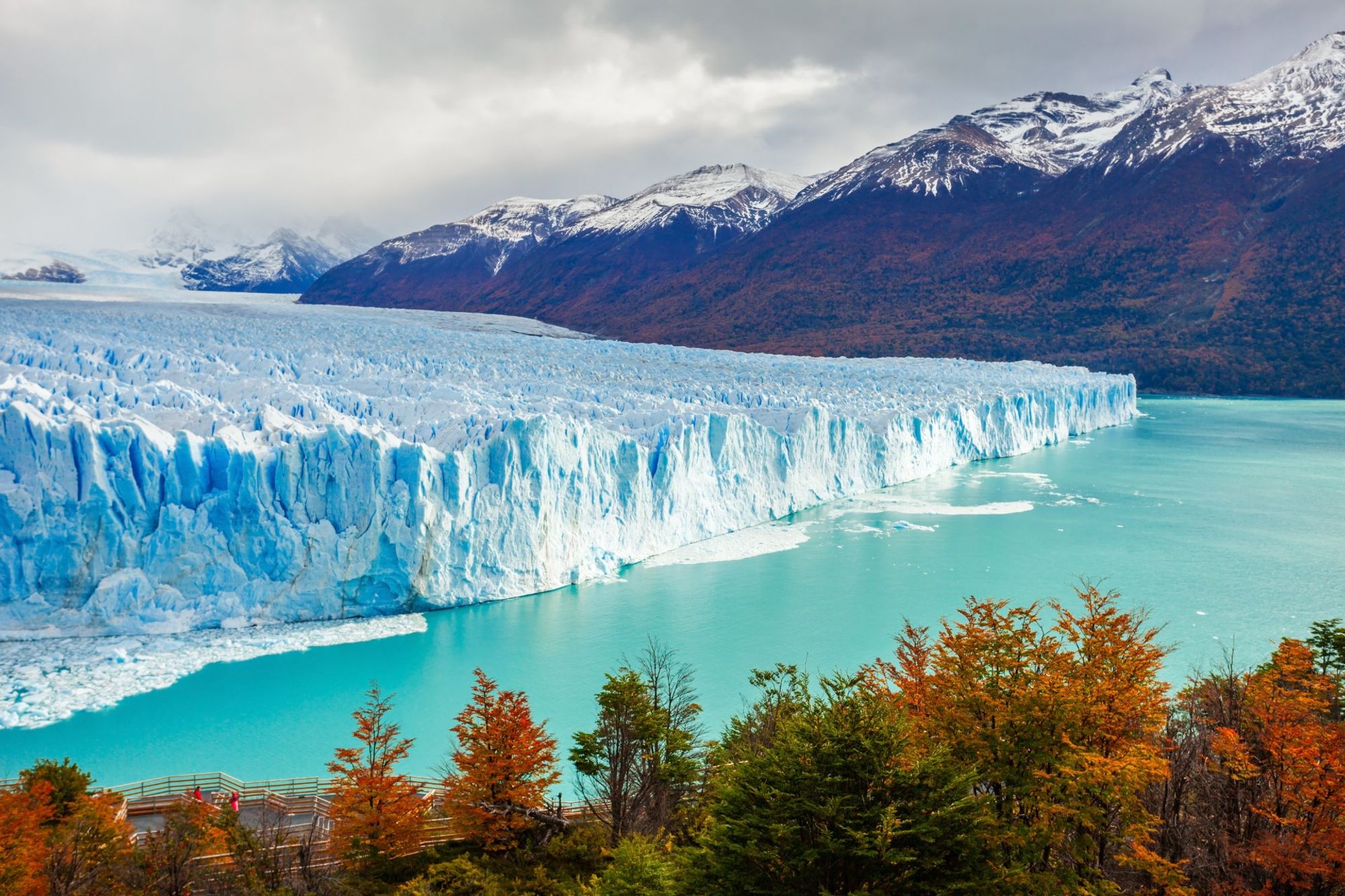 El frente de hielo del Glaciar Perito Moreno con el bosque de oto&ntilde;o en la costa