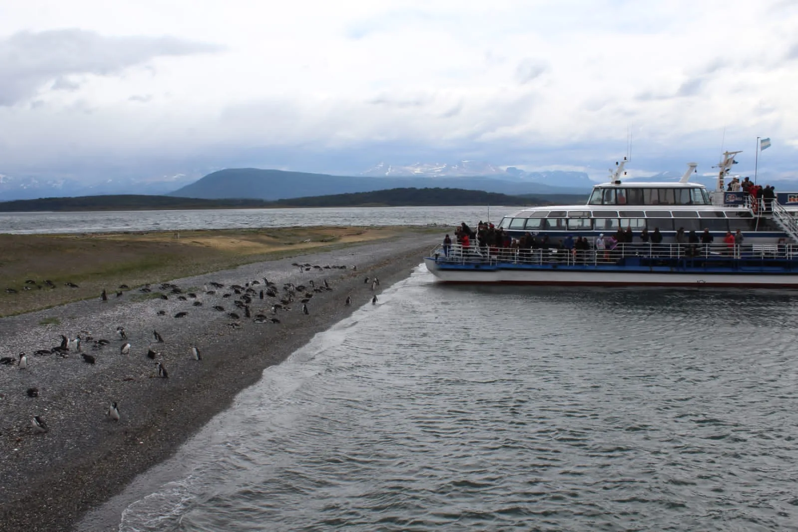 A catamaran resting against the beach at the penguin colony in the Beagle Channel, passengers watching from the deck