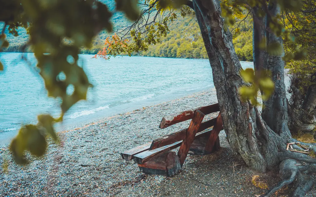 A wooden bench under a l&eacute;nga tree on the turquoise shore of Lake Acigami