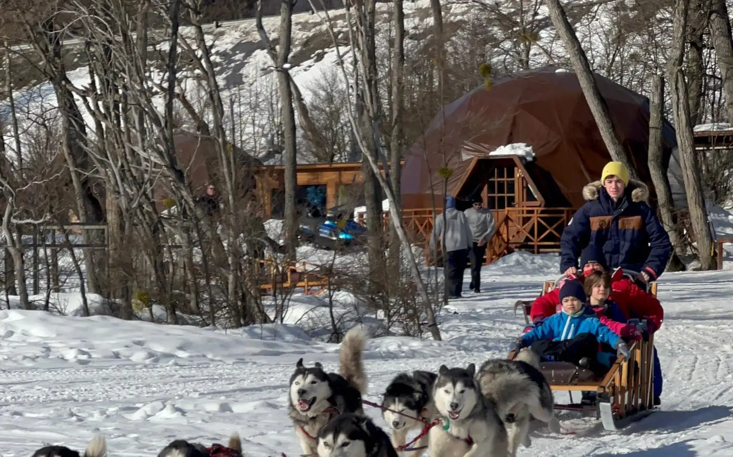 A sled pulled by a team of huskies arriving back at the base in the Tierra Mayor valley, Ushuaia