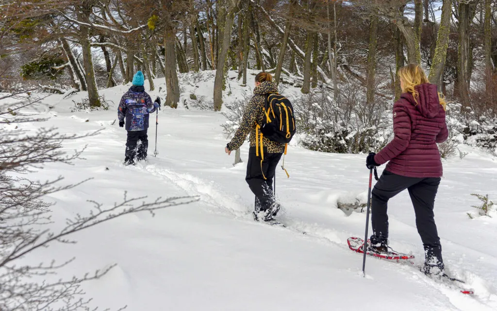 Travellers walking on snowshoes through the Fuegian forest in the Tierra Mayor valley, Ushuaia