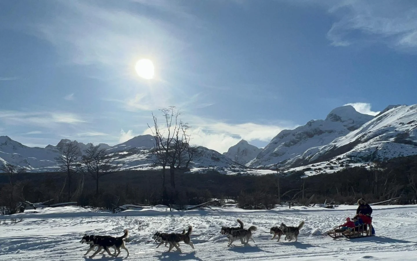 A husky sled team crossing the snow in the Tierra Mayor valley outside Ushuaia