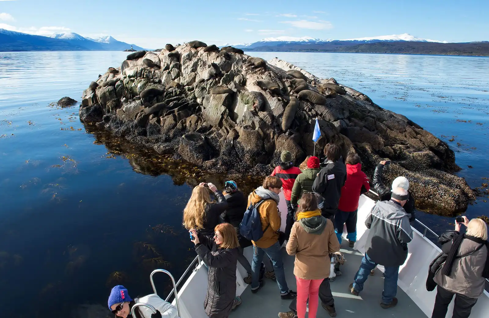 Passengers on the bow of the catamaran photographing a sea lion colony in the Beagle Channel