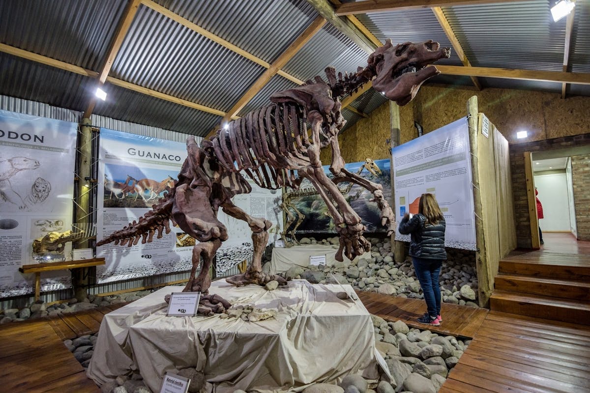 Skeleton of a Megatherium giant ground sloth mounted at the Historical Interpretation Centre in El Calafate